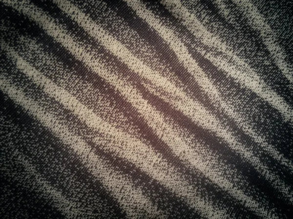 Tétras gris et brun — Photo