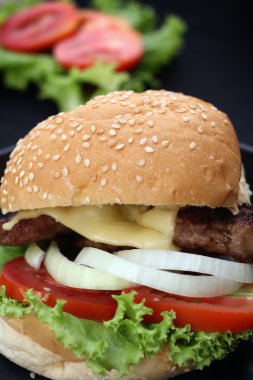Hamburger
