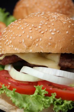 Hamburger