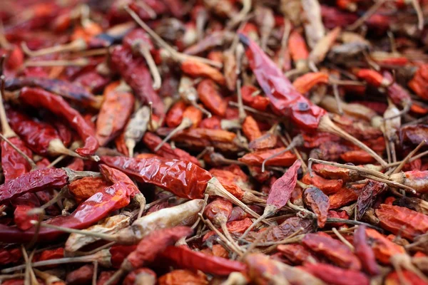 Dried red chilli. — Stock Photo, Image