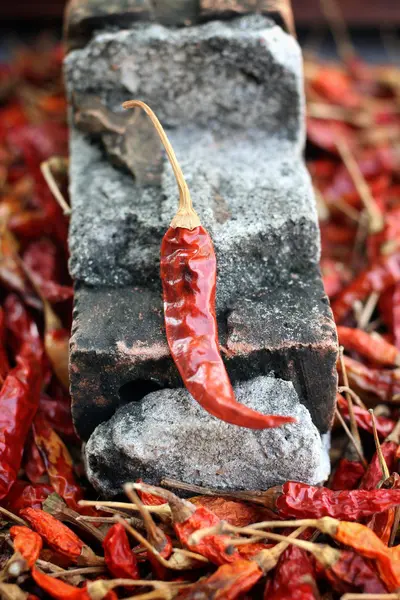 Dried red chilli. — Stock Photo, Image