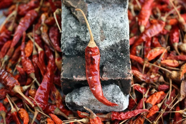Torkad röd chili. — Stockfoto