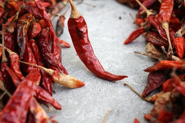 Torkad röd chili. — Stockfoto