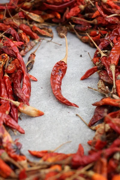 Torkad röd chili. — Stockfoto