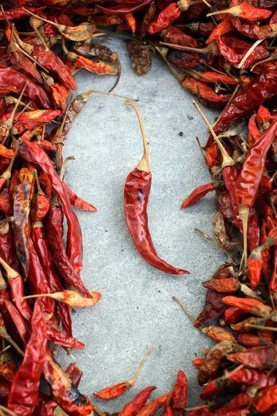 Torkad röd chili. — Stockfoto