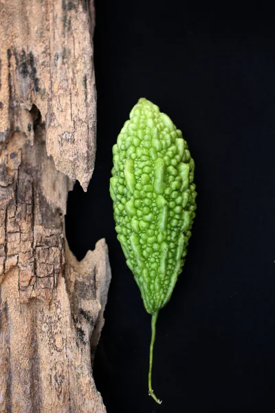 Melón amargo vegetal . — Foto de Stock