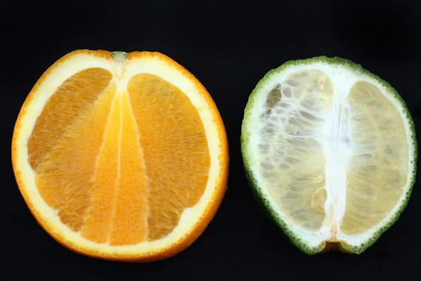 Tranche de fruits à l'orange — Photo