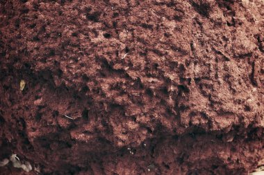 kahverengi ve gri adam