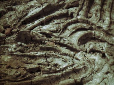 kahverengi ve gri adam