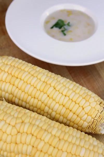 Corn soup — Stock Photo, Image