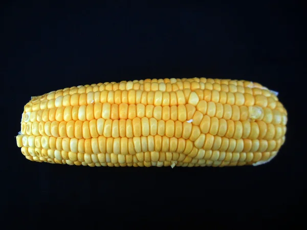 Sweetcorn — Stock Photo, Image