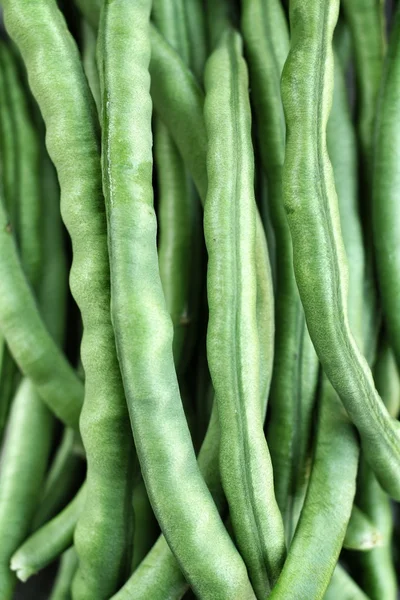 Long bean — Stock Photo, Image