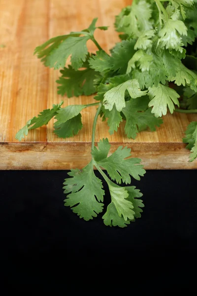 Cilantro —  Fotos de Stock