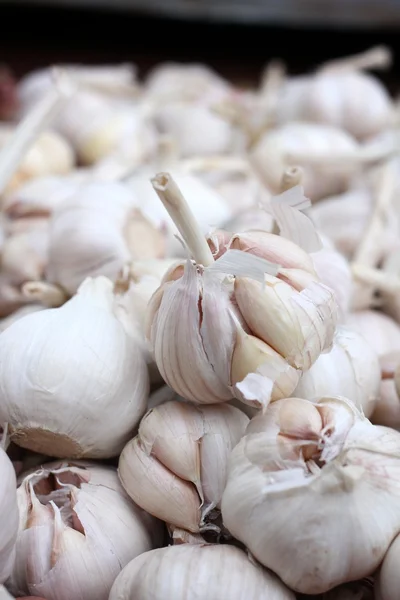 Garlic — Stock Photo, Image