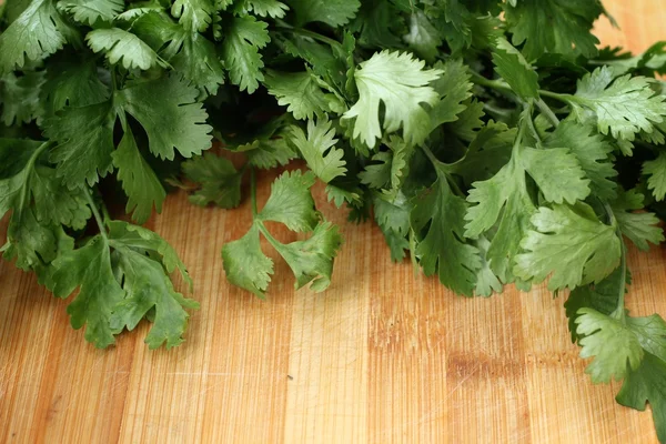 Cilantro — Foto de Stock