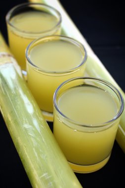 içecekler şeker kamışı.