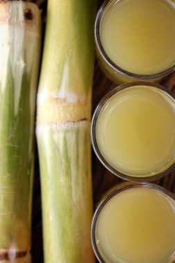 içecekler şeker kamışı.