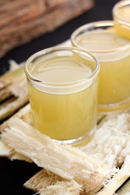 içecekler şeker kamışı.