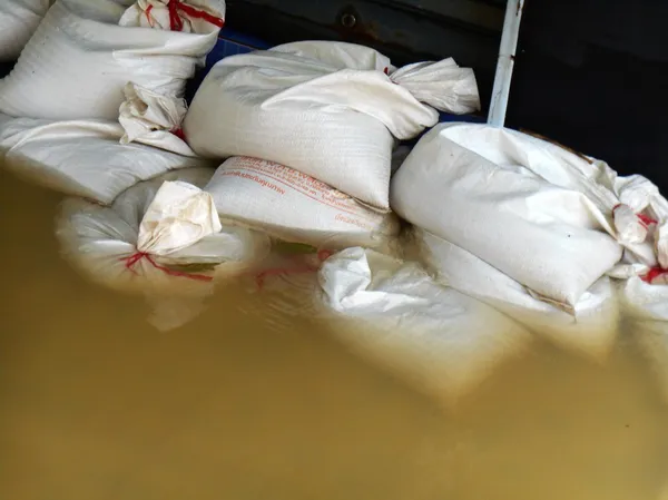 White sandbags for flood defense — Stock Photo, Image