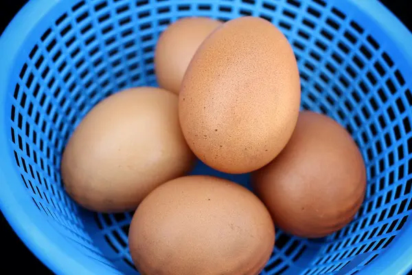Eieren in de mand — Stockfoto