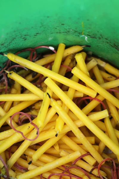 Candele nel Buddismo . — Foto Stock