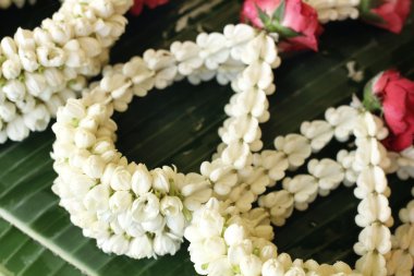 Beyaz Yasemin çelenk