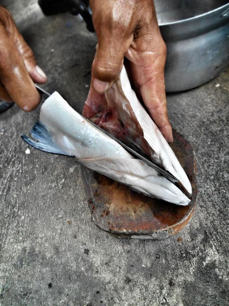 Cabeça de salmão — Fotografia de Stock