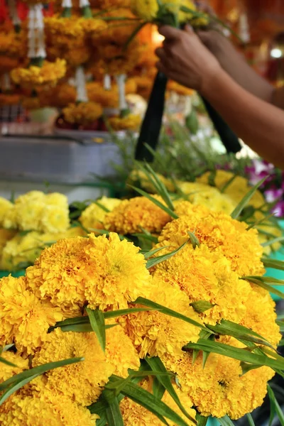 Flor de calêndula — Fotografia de Stock