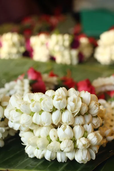 White jasmine garland — Stock Photo, Image