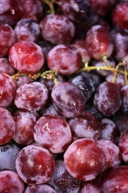 taze üzüm