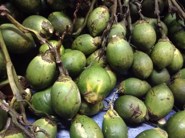 Betel palm — Stock Photo, Image