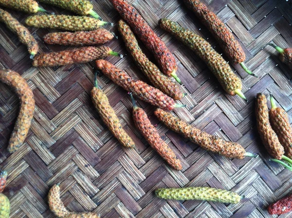 Pimenta longa indiana — Fotografia de Stock