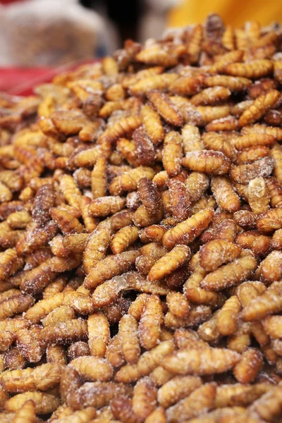 Fried silk worms — Stock Photo, Image
