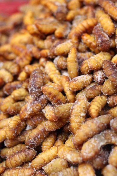 Fried silk worms — Stock Photo, Image