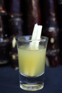 kırmızı şeker kamışı