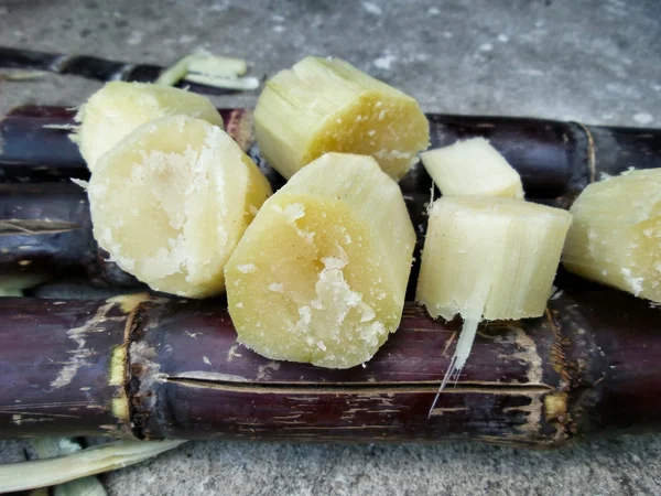 Cana de açúcar vermelha — Fotografia de Stock