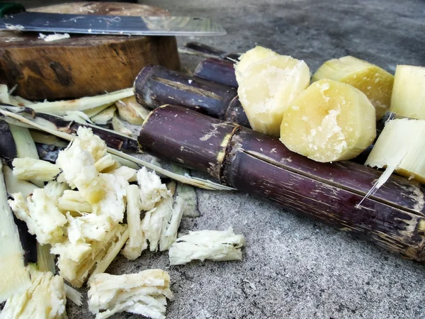 Red sugar cane — Stock Photo, Image