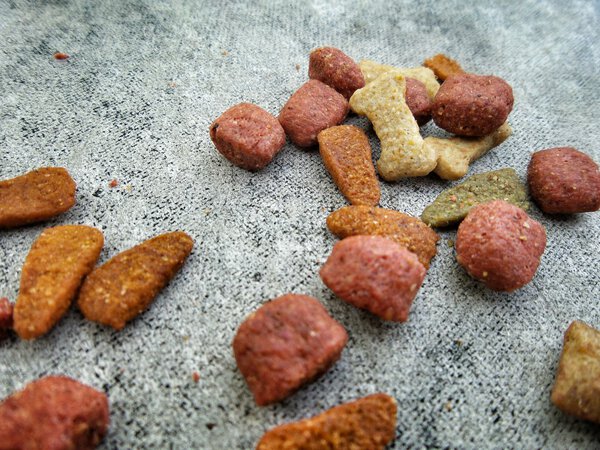 Pet food