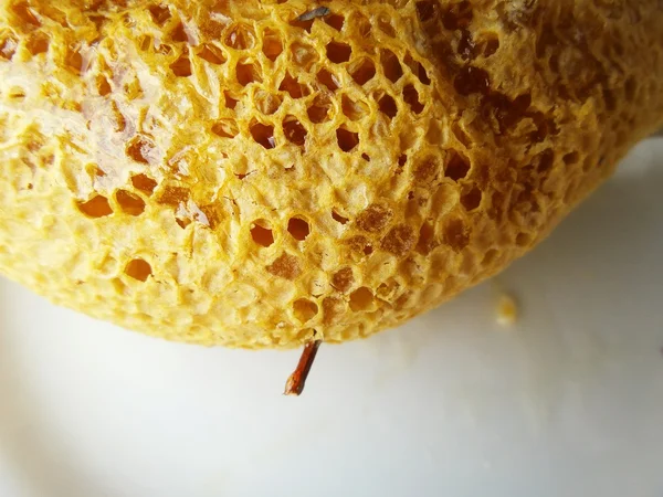 Bienenwaben — Stockfoto