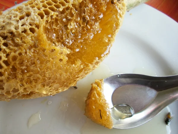 Honeycomb — Stock Photo, Image