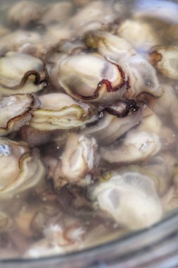 taze yakaladı istiridye