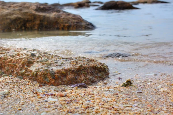 Costa rochosa na praia — Fotografia de Stock