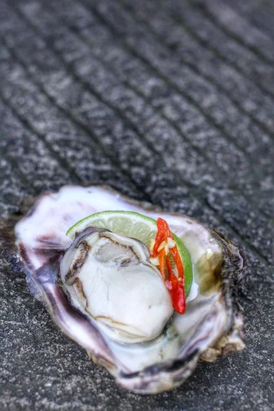 Fresh raw oysters — Stock Photo, Image