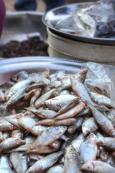 Pescado fresco — Foto de Stock