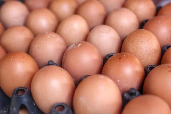 Brown eggs — Stock Photo, Image