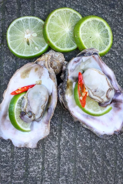 Fresh raw oysters — Stock Photo, Image