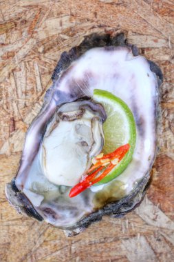 Taze çiğ istiridye.