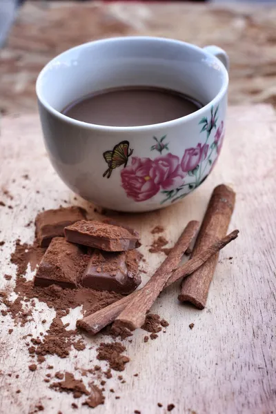 Palitos de cacao y canela — Foto de Stock