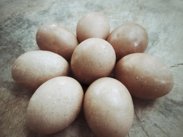 Verse eieren. — Stockfoto