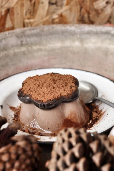 Шоколадный пудинг — стоковое фото